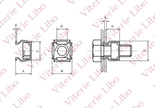 Disegno / Drawing