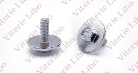 Hexagon head screw flange Ø 23