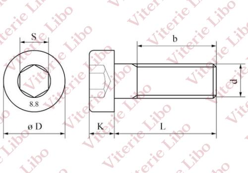 Hexagon socket head cap screws