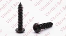 Hilo hexagon socket button head screw with point