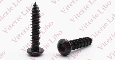 Hilo hexagon socket button head screw with point