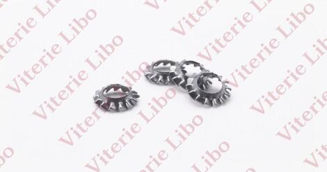 Serrated countersunk lock washers