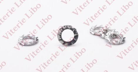 Serrated externally lock washers