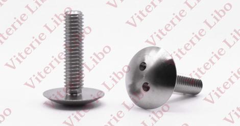 Tamper proof button head screw - two holes