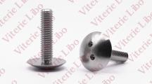 Tamper proof button head screw - two holes