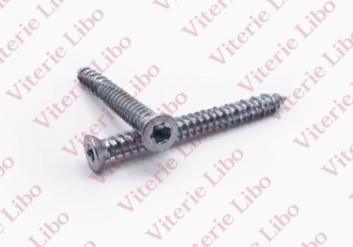 Torx recessed countersunk head cap screw for concrete
