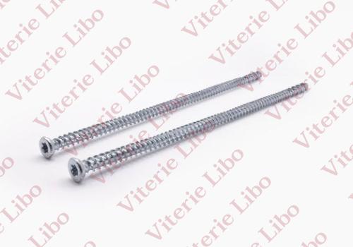 Torx recessed countersunk head cap screw for concrete