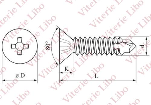 Disegno / Drawing