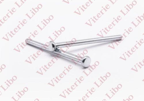 Rivet