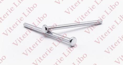Rivet