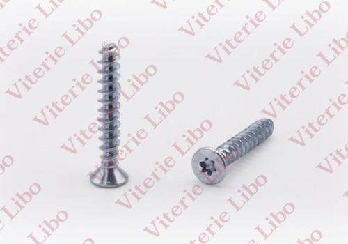 Vis à tête fraisée Torx pour plastique sans pointe