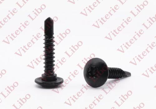 Vis autoperceuse Torx à tête bombée avec collier