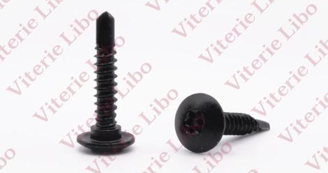 Vis autoperceuse Torx à tête bombée avec collier