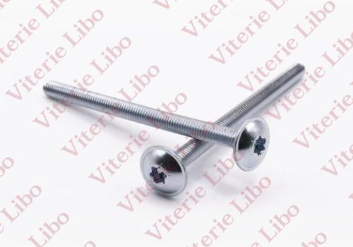 Vis Torx à tête bombée encastrée, filetage complet