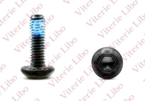 Vite testa bombata esagono incassato chiave 5 dentellata sotto