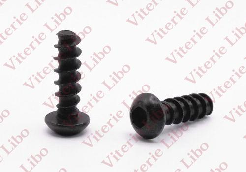 Vite testa bombata esagono incassato filetto per plastica senza punta