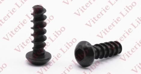 Vite testa bombata esagono incassato filetto per plastica senza punta