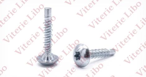 Vite testa bombata impronta torx doppio filetto per plastica