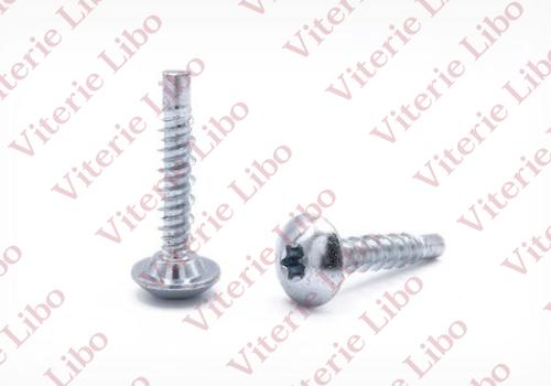 Vite testa bombata impronta torx doppio filetto per plastica