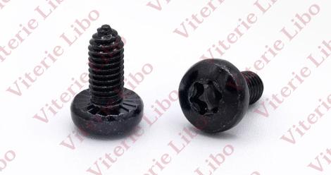 Vite testa cilindrica autofilettante impronta torx