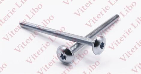 Vite testa mezza tonda finta rondella impronta torx tutto filetto