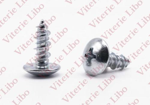 Vite testa mezza tonda impronta croce doppio filetto per plastica