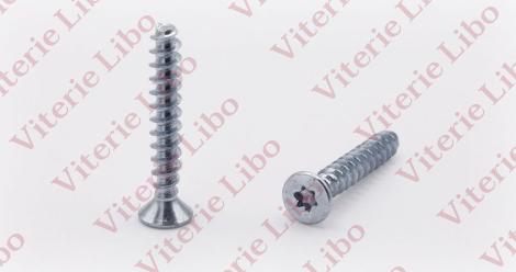 Vite testa svasata piana impronta torx filetto per plastica senza punta